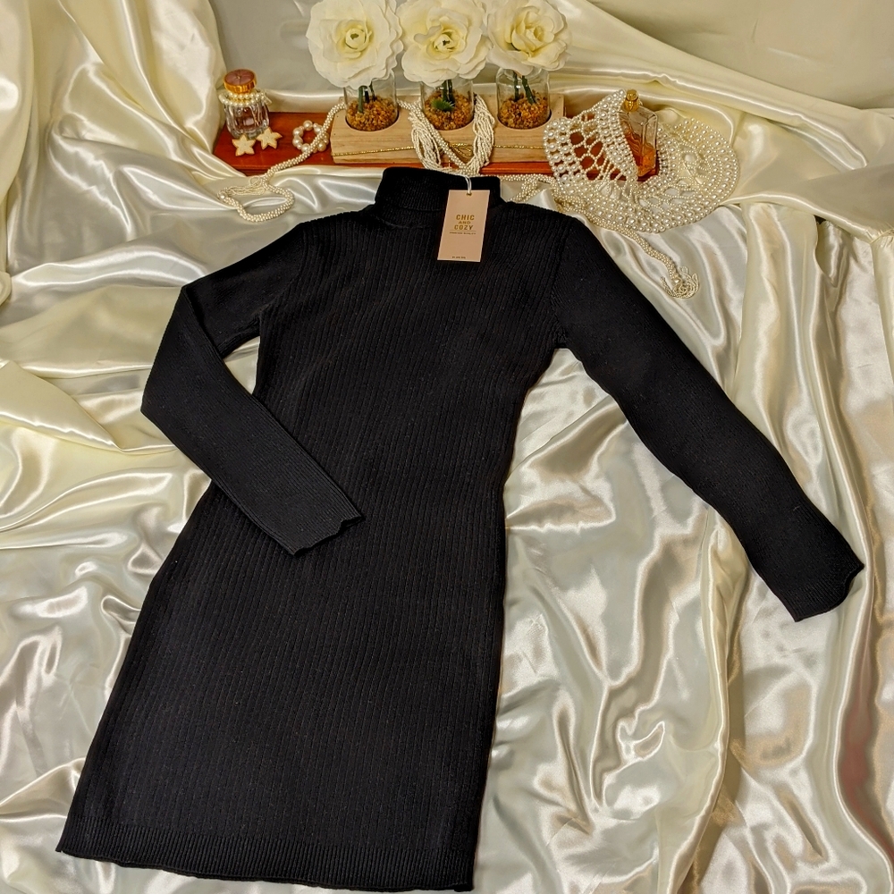 Turtleneck Dress
